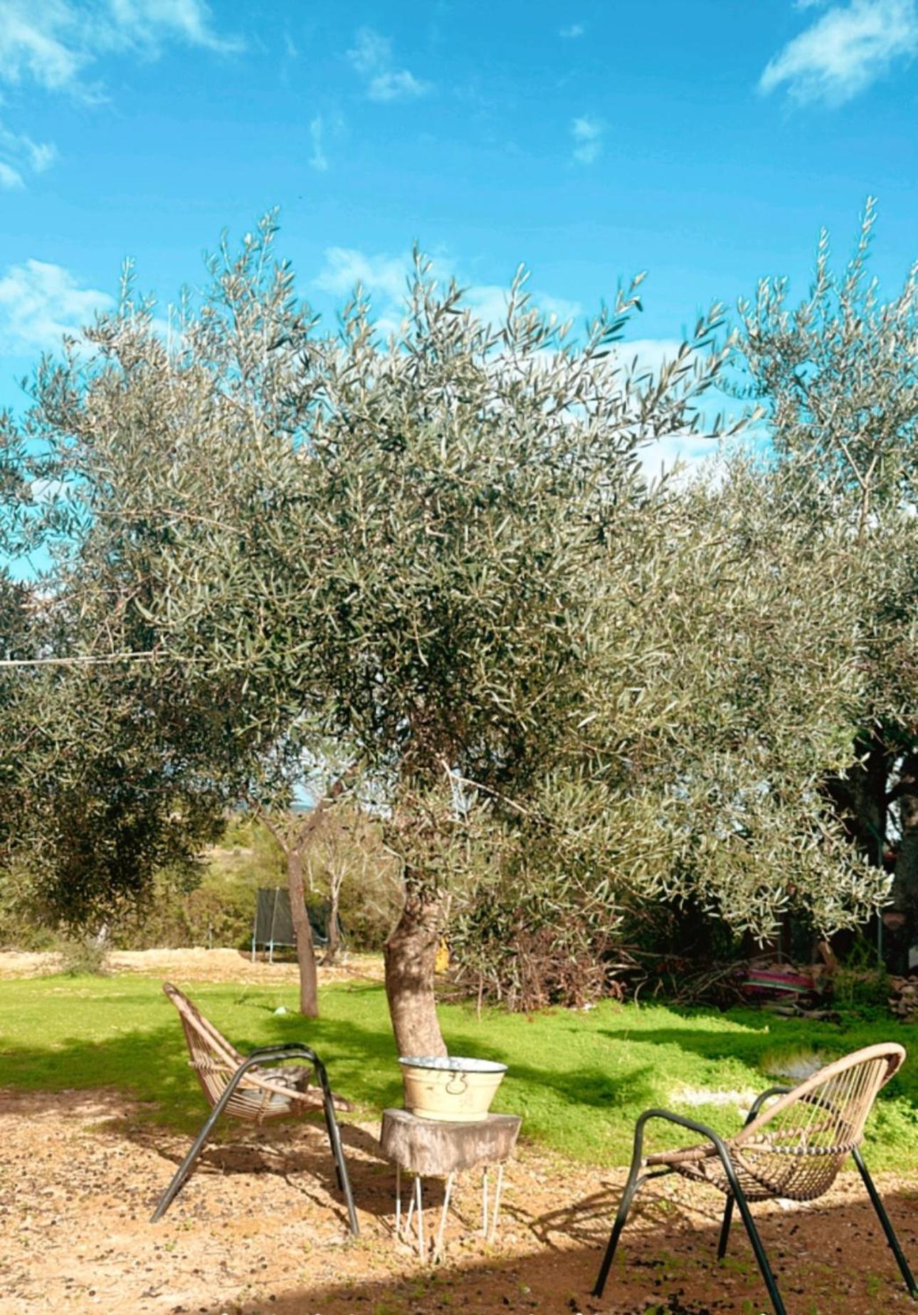 La Quinta Da Liberdade - Ferme De Charme En Algarve Villa Pechão Buitenkant foto