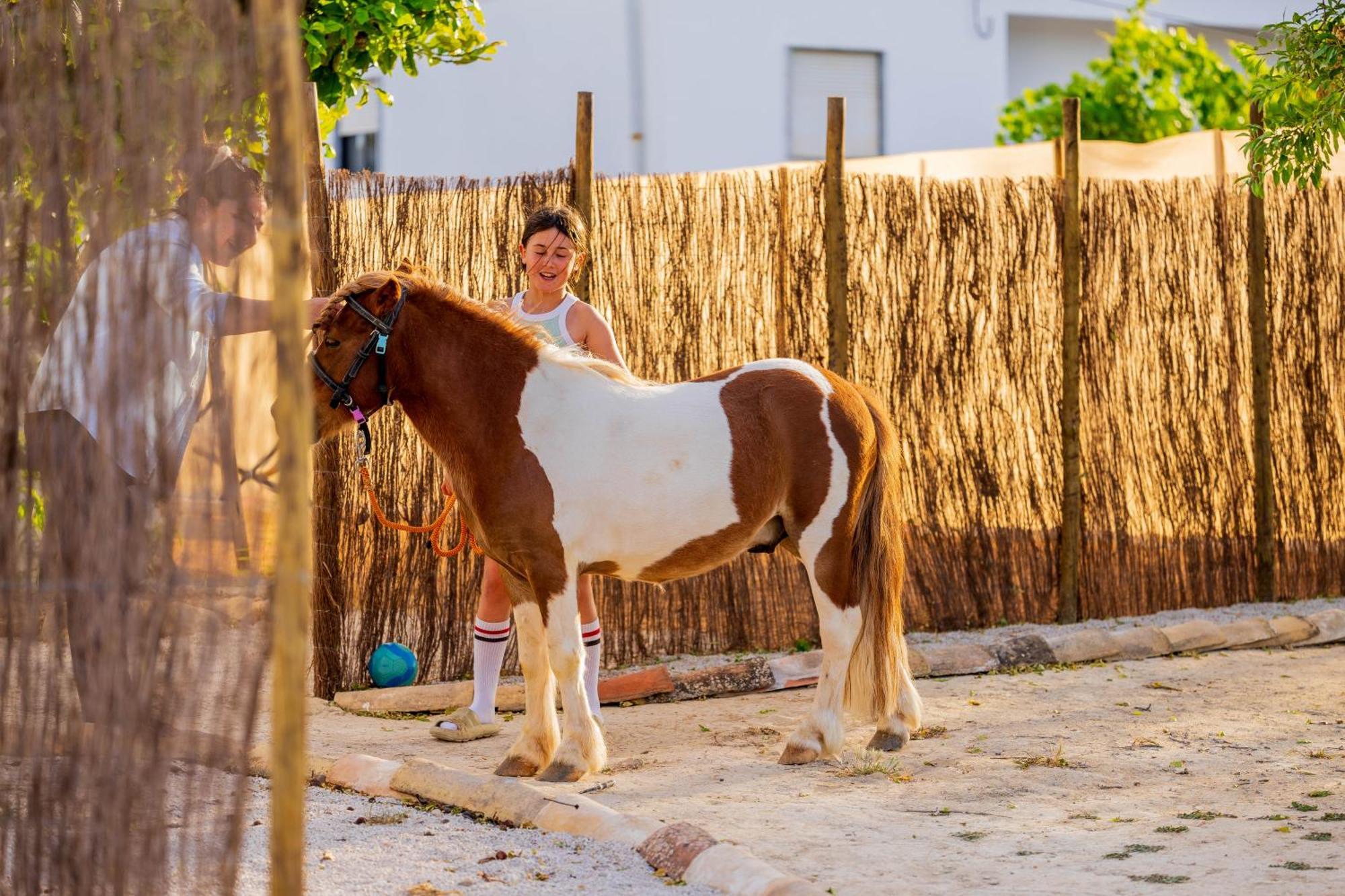 La Quinta Da Liberdade - Ferme De Charme En Algarve Villa Pechão Buitenkant foto