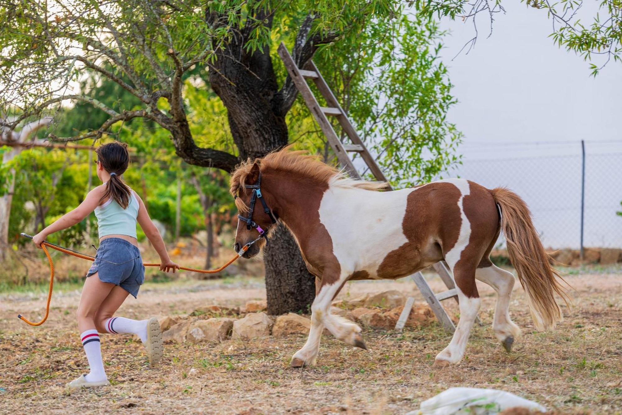 La Quinta Da Liberdade - Ferme De Charme En Algarve Villa Pechão Buitenkant foto